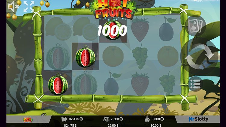 Hot Hot Fruit Online Gokkast voor echt geld spelen