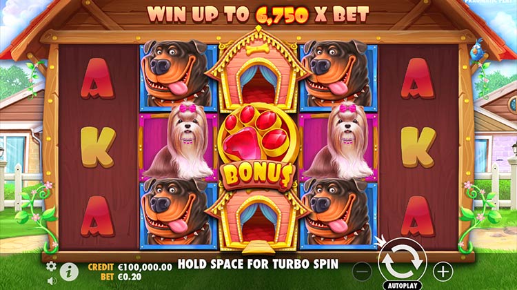 The dog house slot