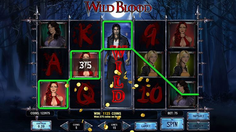 Wild Blood gokkast voor echt geld spelen