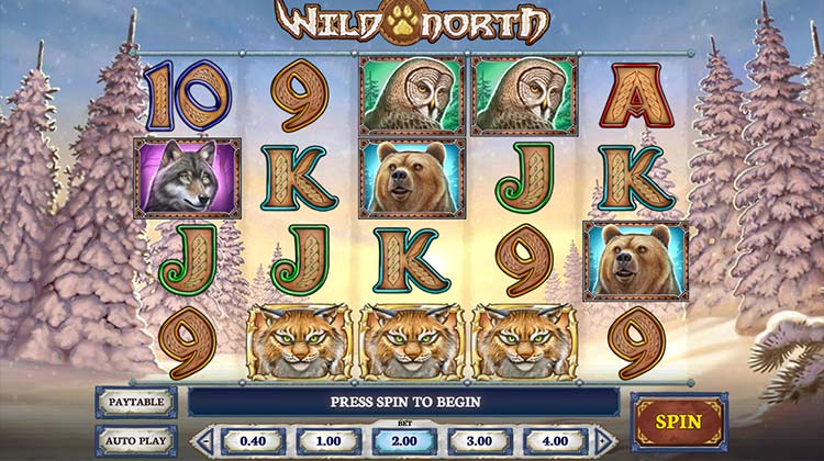 Wild North slot