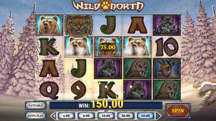 Wild North gokkast voor echt geld spelen